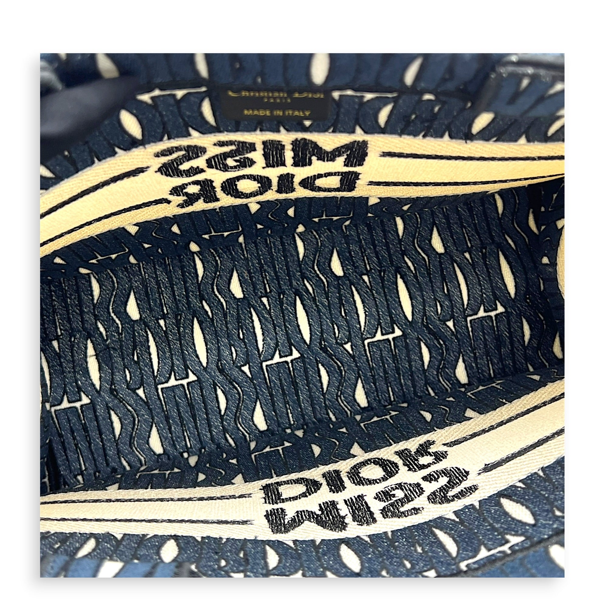 Miss Dior Book Tote Medium Blue Tote Bag in Canvas