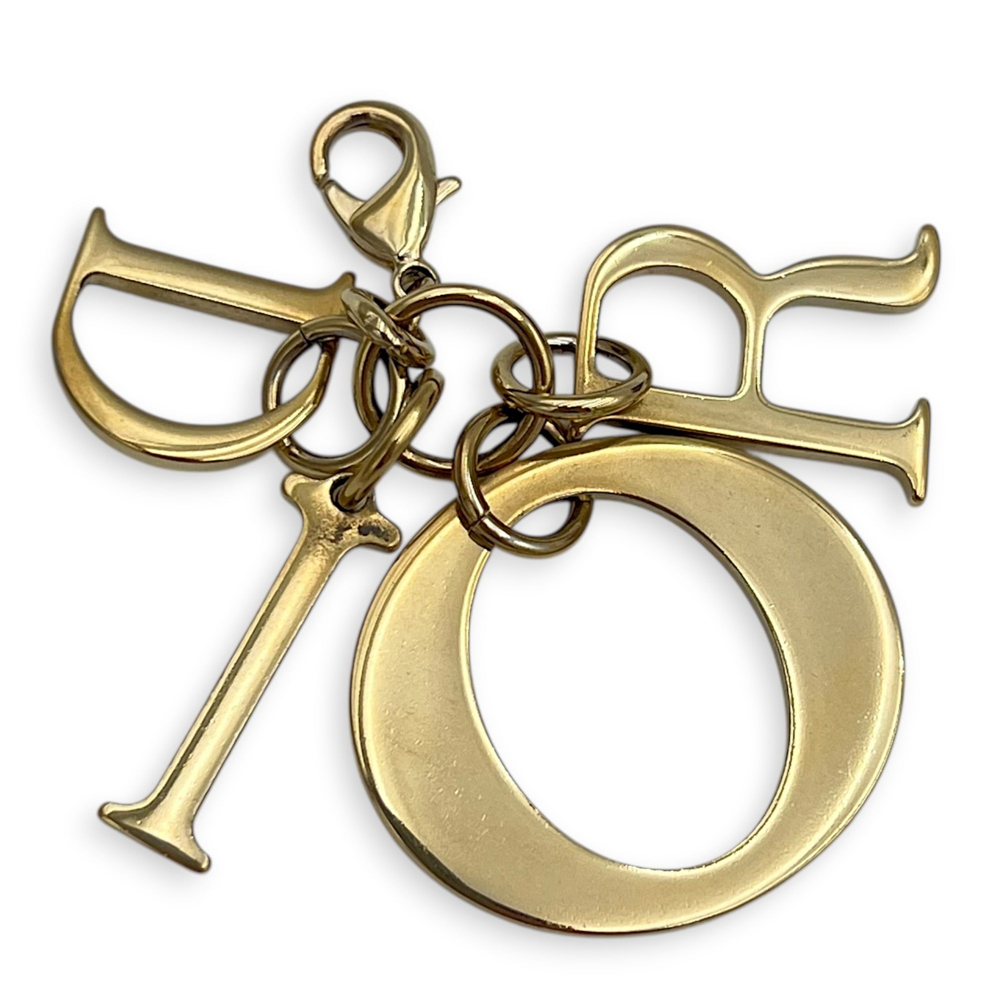 CHIURI CRUISE 2020 MARINE Lion Wallet On Chain Black in Calfskin, Gold hardware