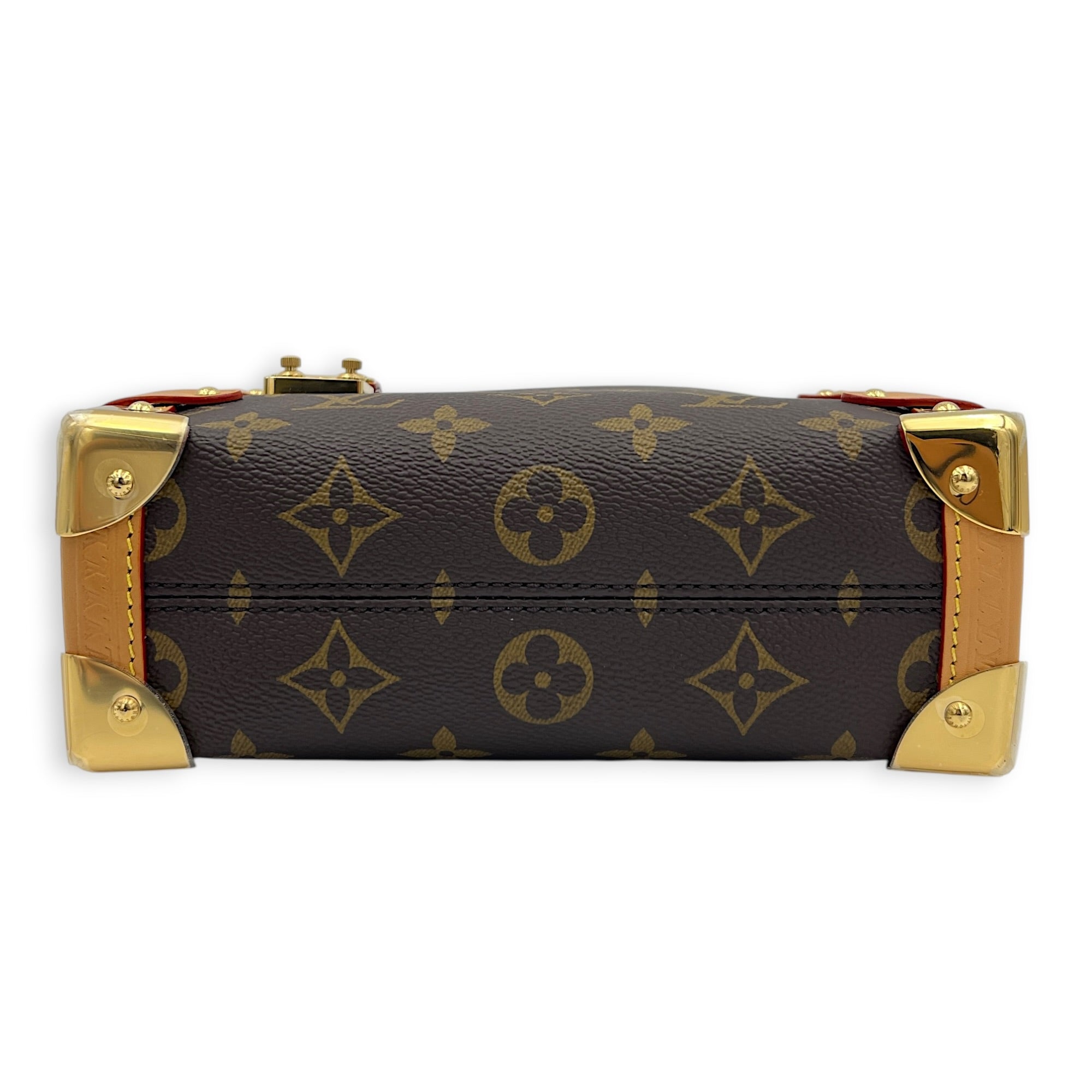 Side Trunk PM Brown Crossbody Bag in Coated Canvas, Gold hardware