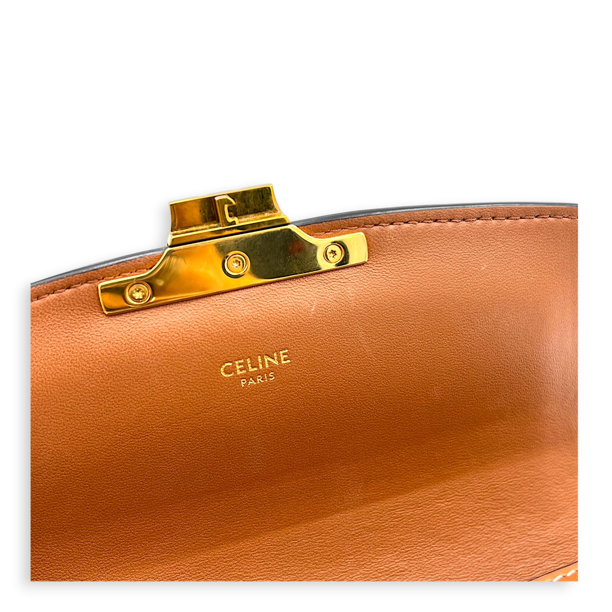 Triomphe Shoulder Bag Teen Brown in Coated Canvas, Gold hardware