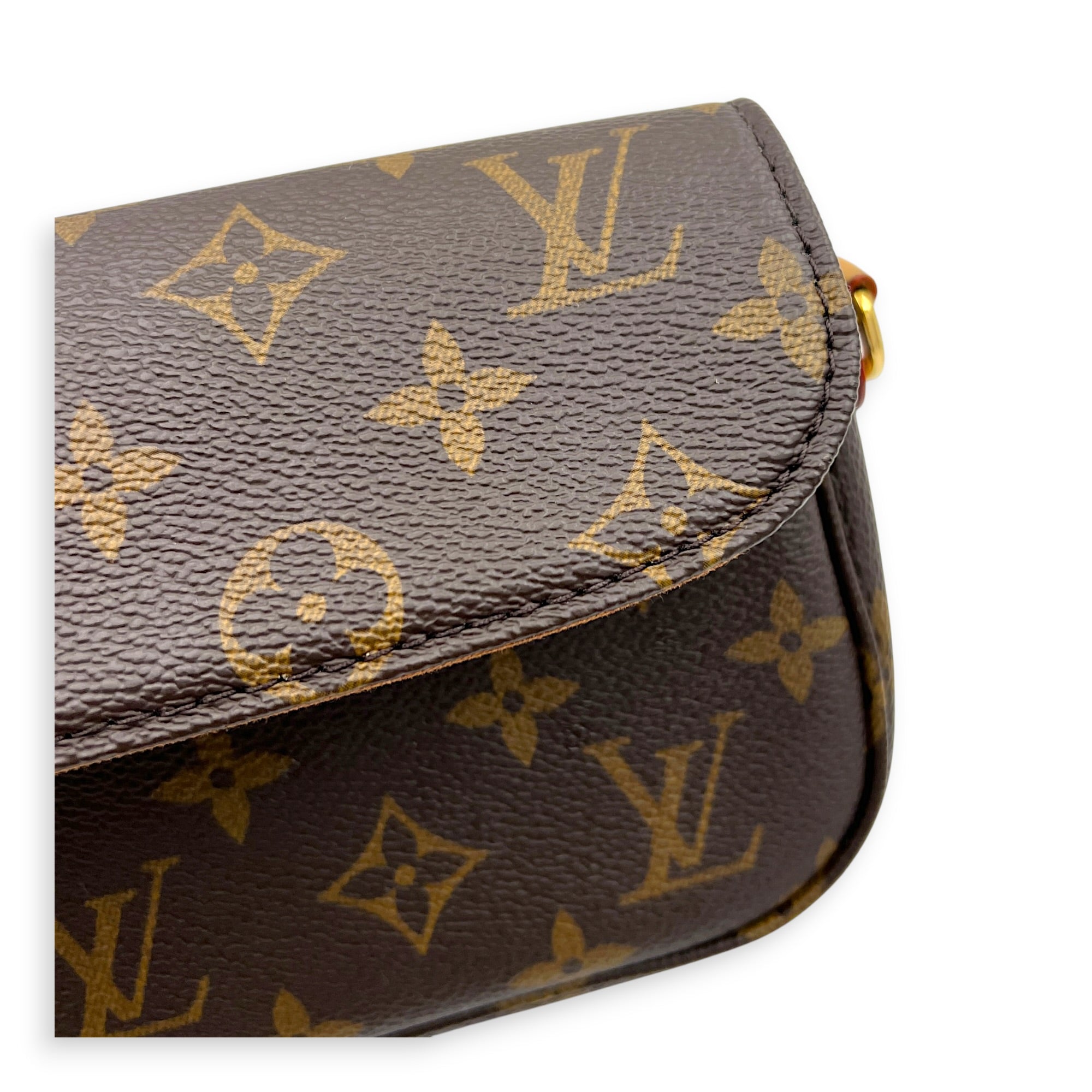 Lily Wallet On Chain Brown in Monogram Coated Canvas, Gold hardware