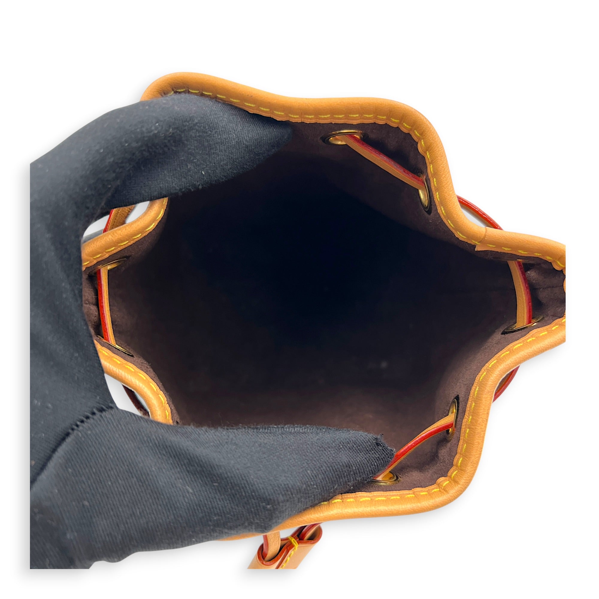 Noe Bucket Bag Nano Brown in Monogram Coated Canvas, Gold hardware