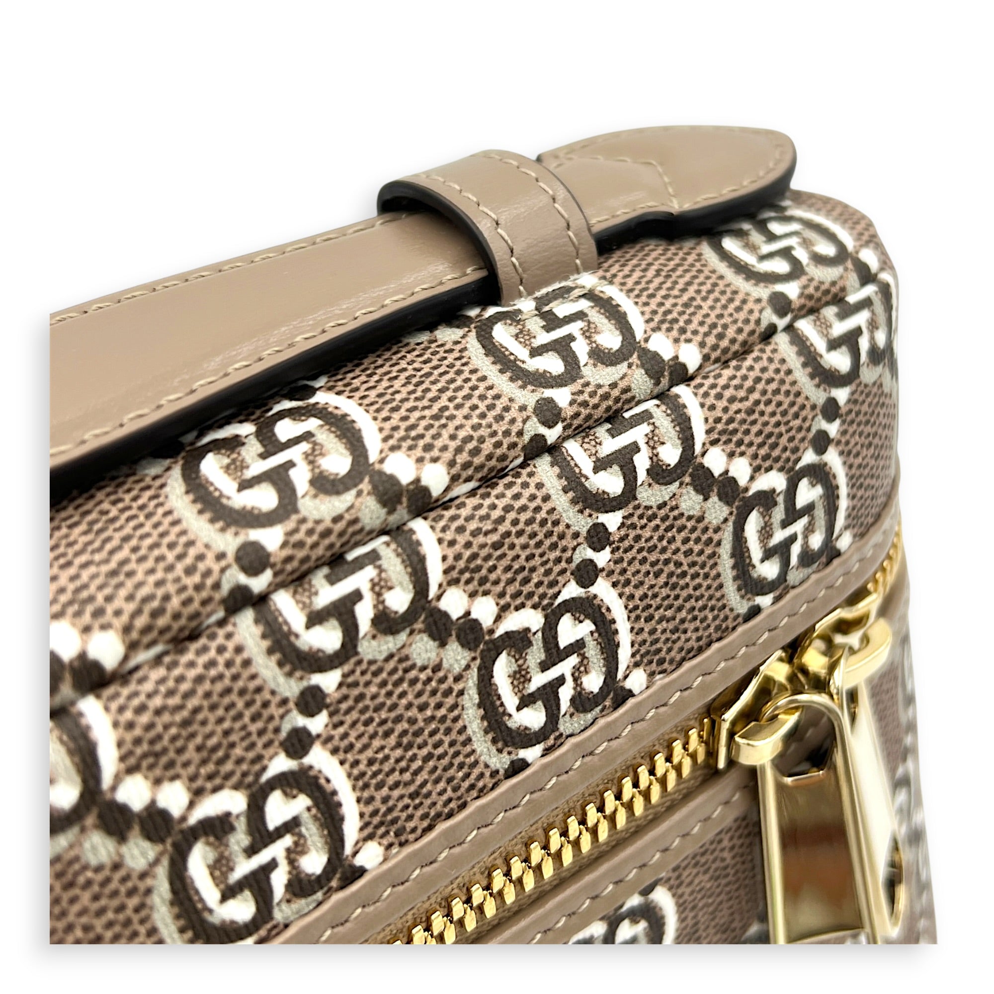 Shadow Multi-colour Vanity Bag in Coated Canvas, Gold hardware