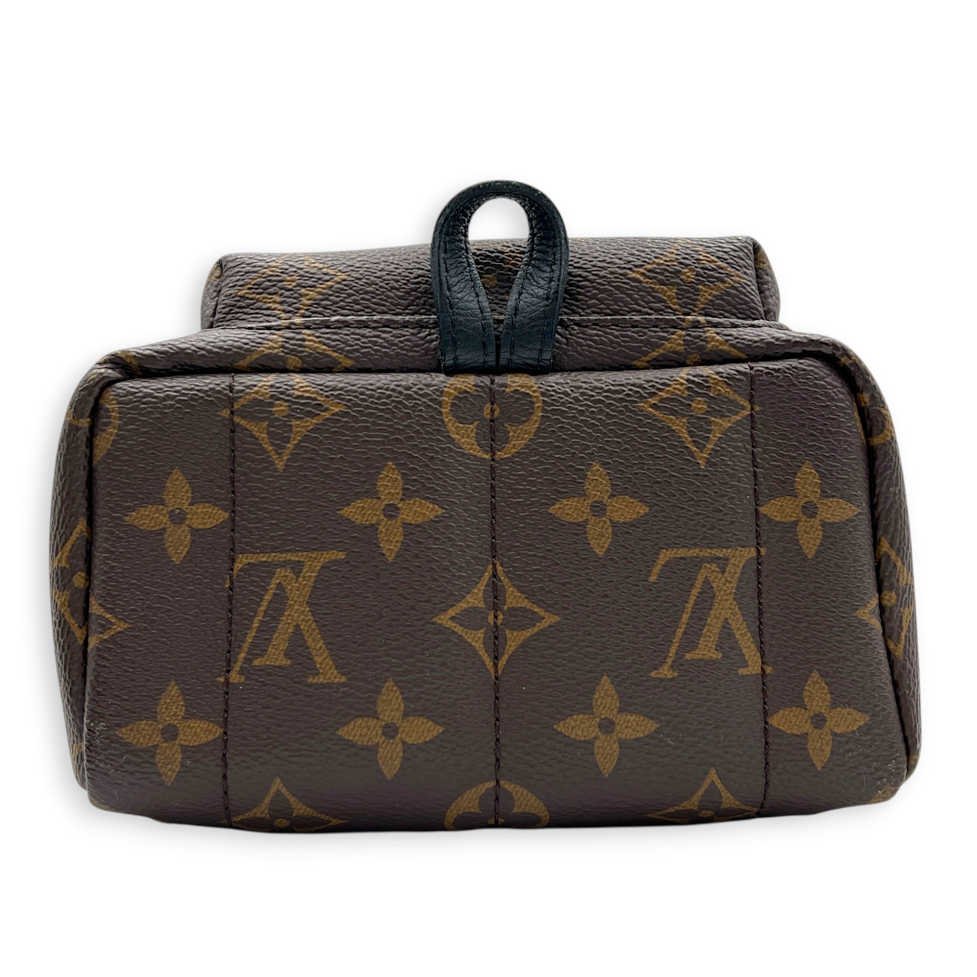 Palm Springs Backpack Mini Monogram in Monogram Coated Canvas, Gold hardware