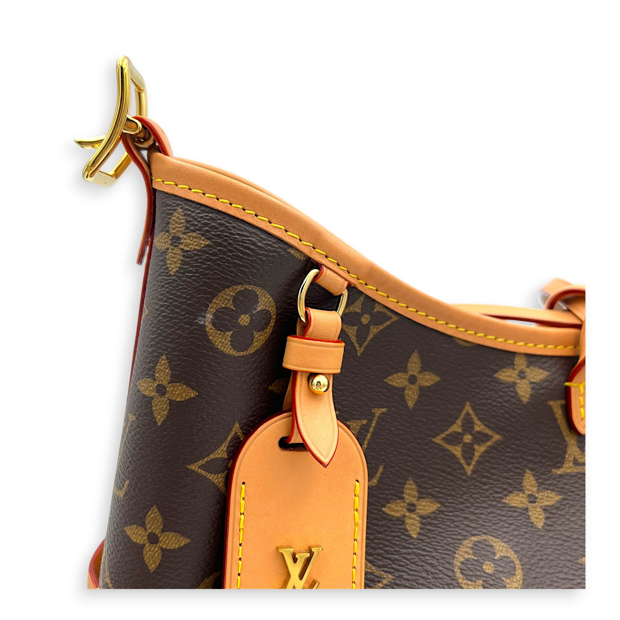 Carryall PM Monogram Shoulder Bag in Monogram Coated Canvas, Gold hardware