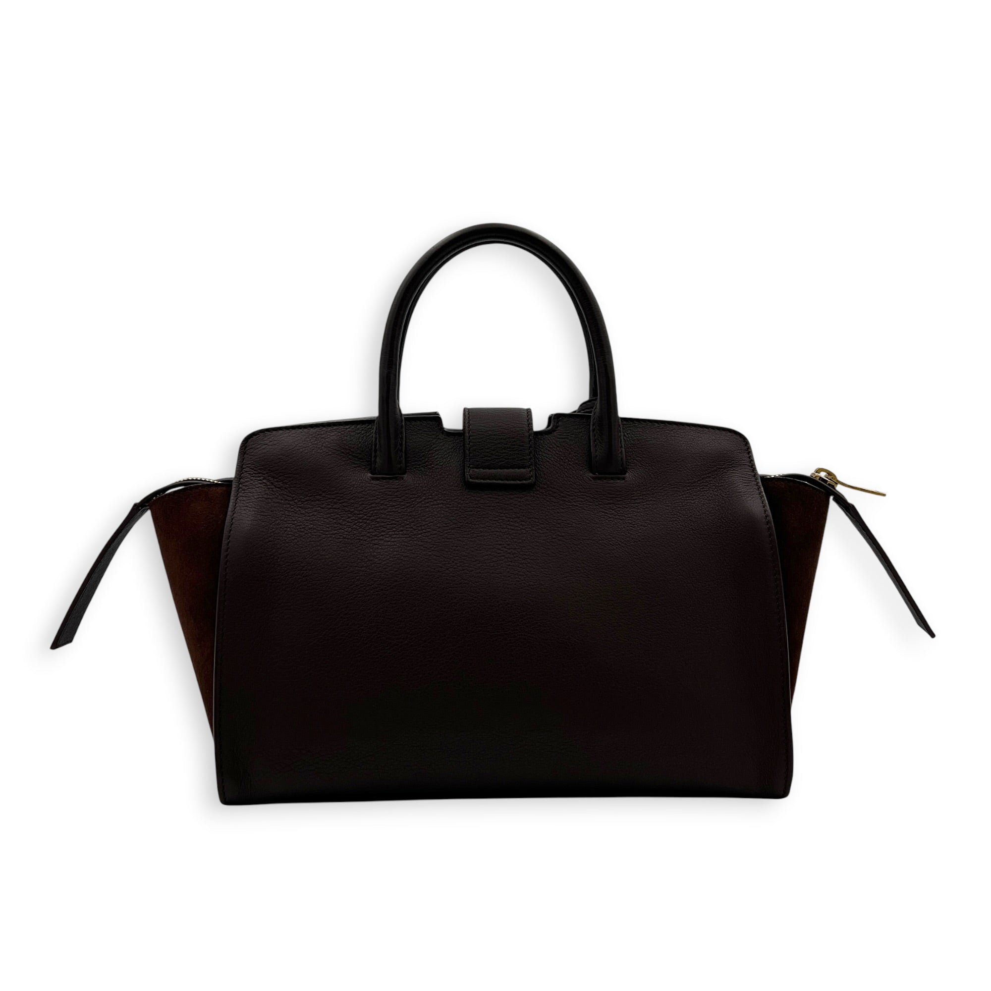 Cabas Tote Bag Medium Dark Tobacco in Calfskin, Gold hardware