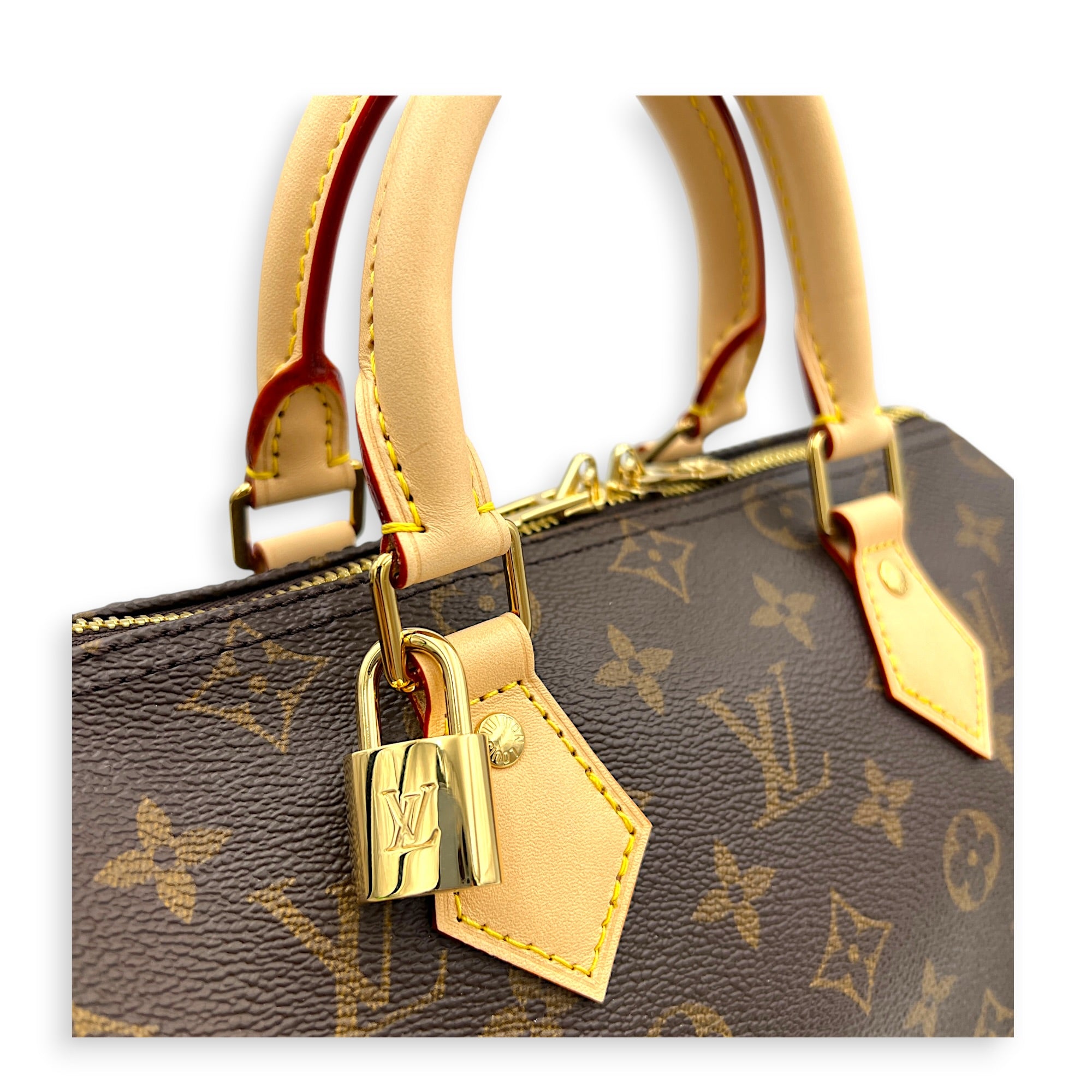 Speedy Top Handle Bag 25 Brown in Monogram Coated Canvas, Gold hardware
