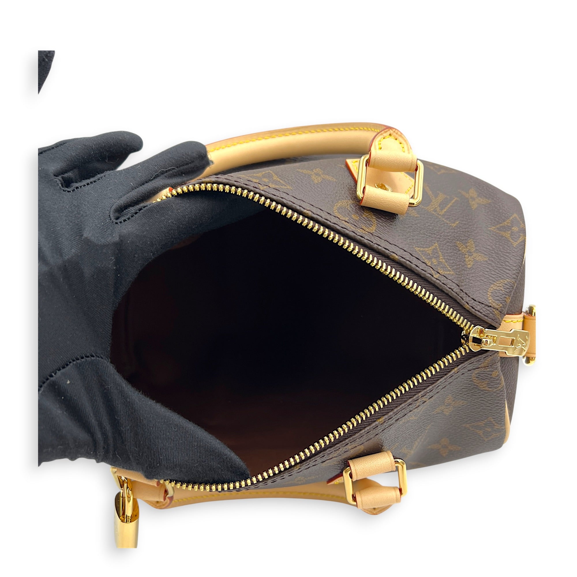 Speedy Top Handle Bag 25 Brown in Monogram Coated Canvas, Gold hardware