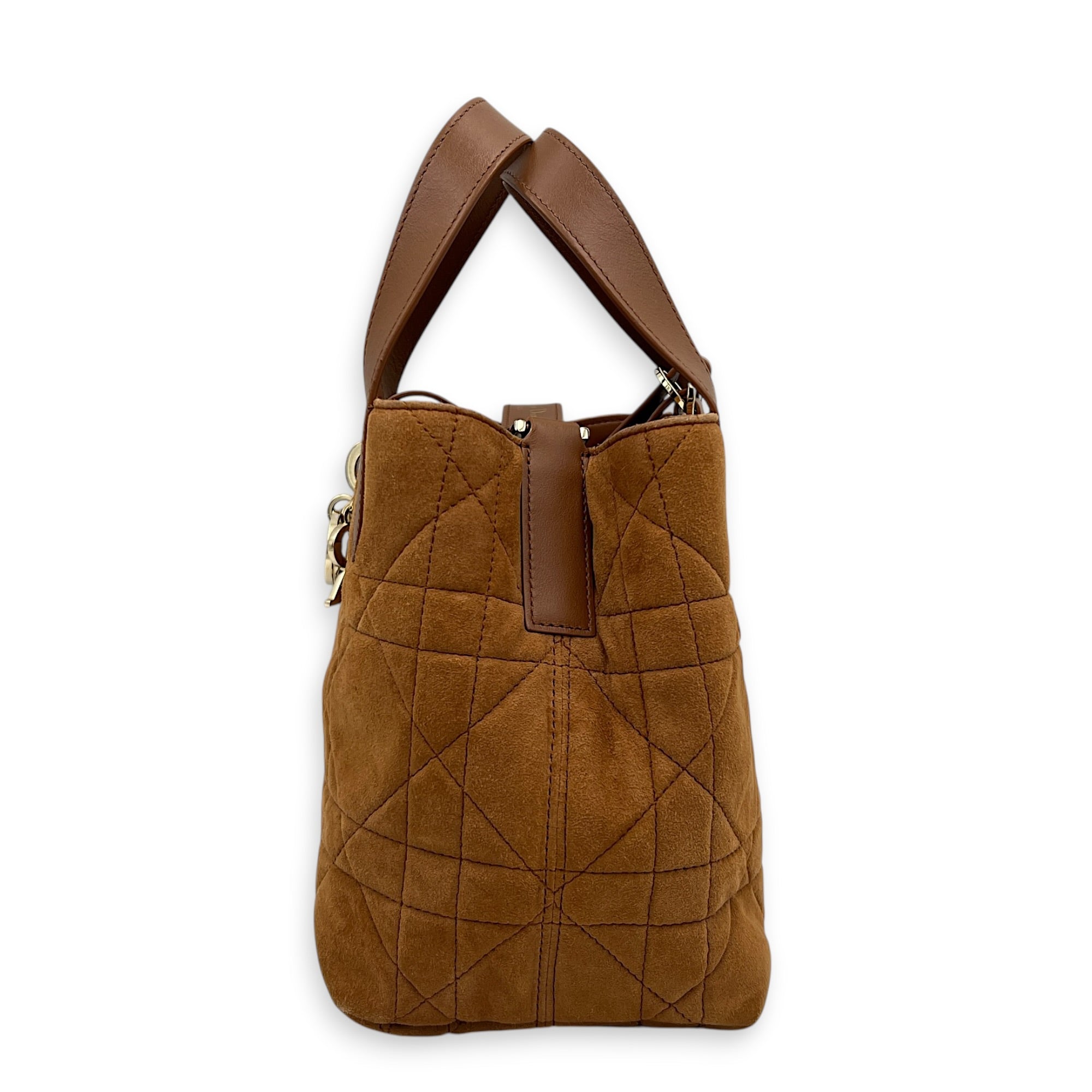 Toujours Tote Bag Vertical Brown in Suede Leather, Gold hardware