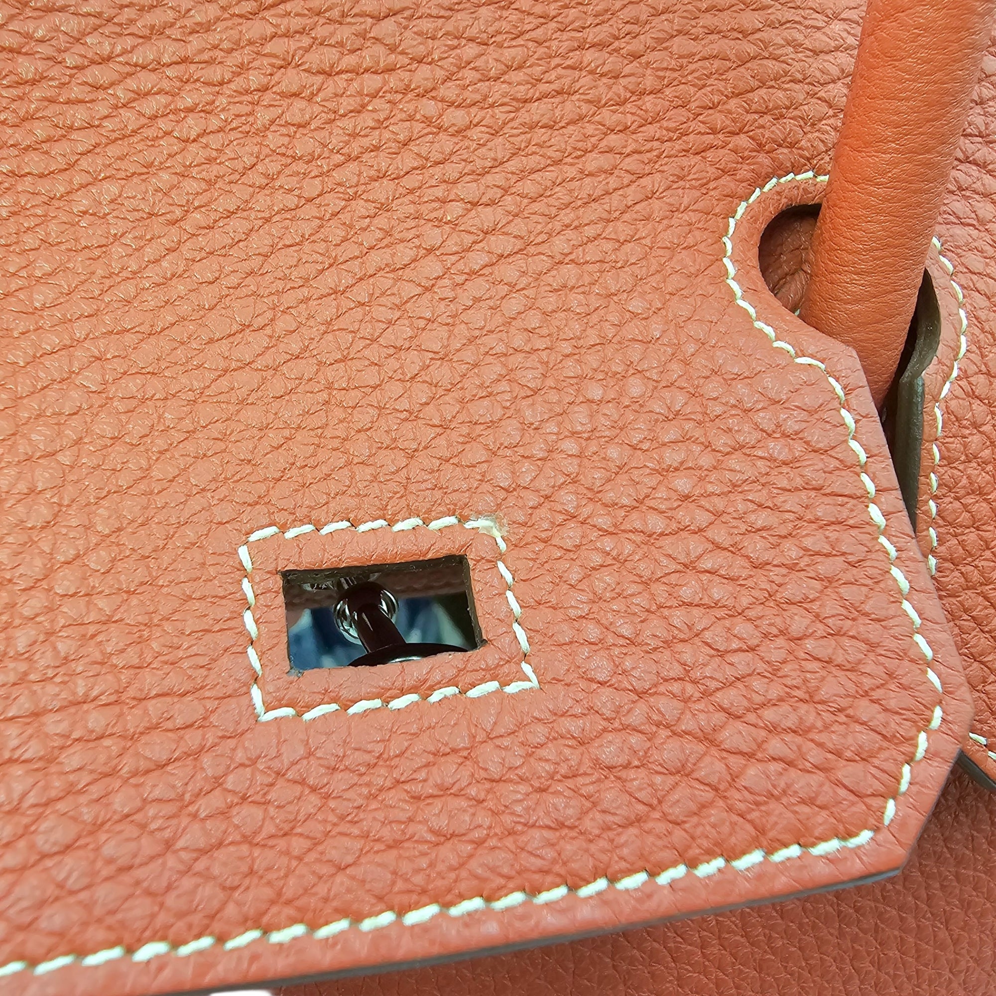Birkin 30 Sanguine in Togo Palladium hardware