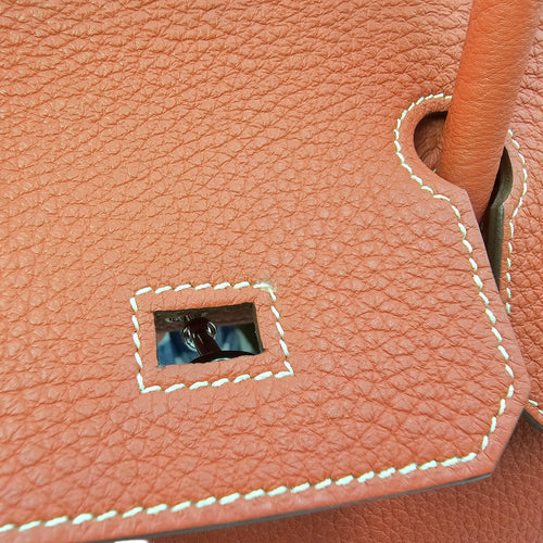 Birkin 30 Sanguine in Togo Palladium hardware