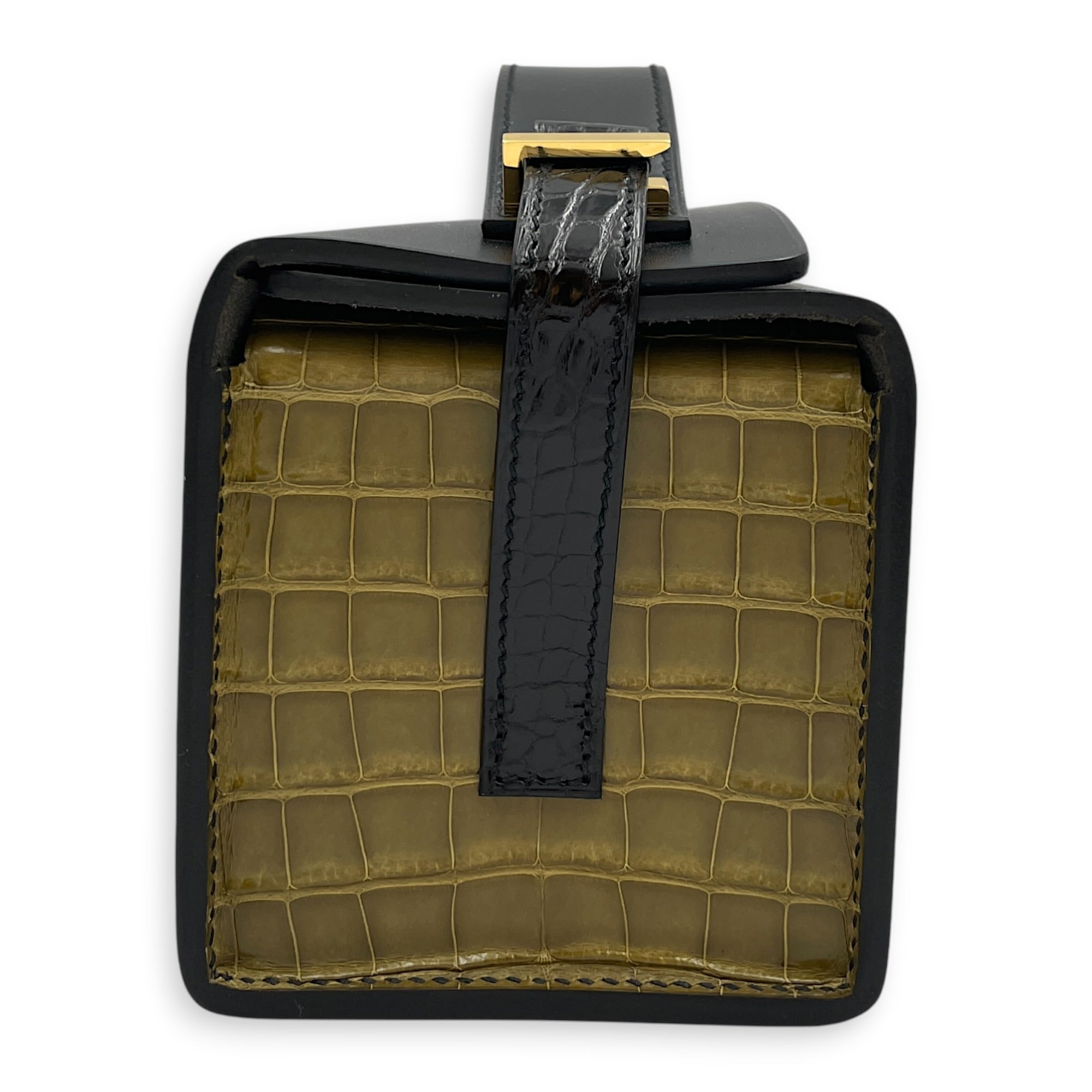 Petit h Minaudiere Etrusque/Vert Olive in Shiny Alligator Gold hardware SL2603-20495 3