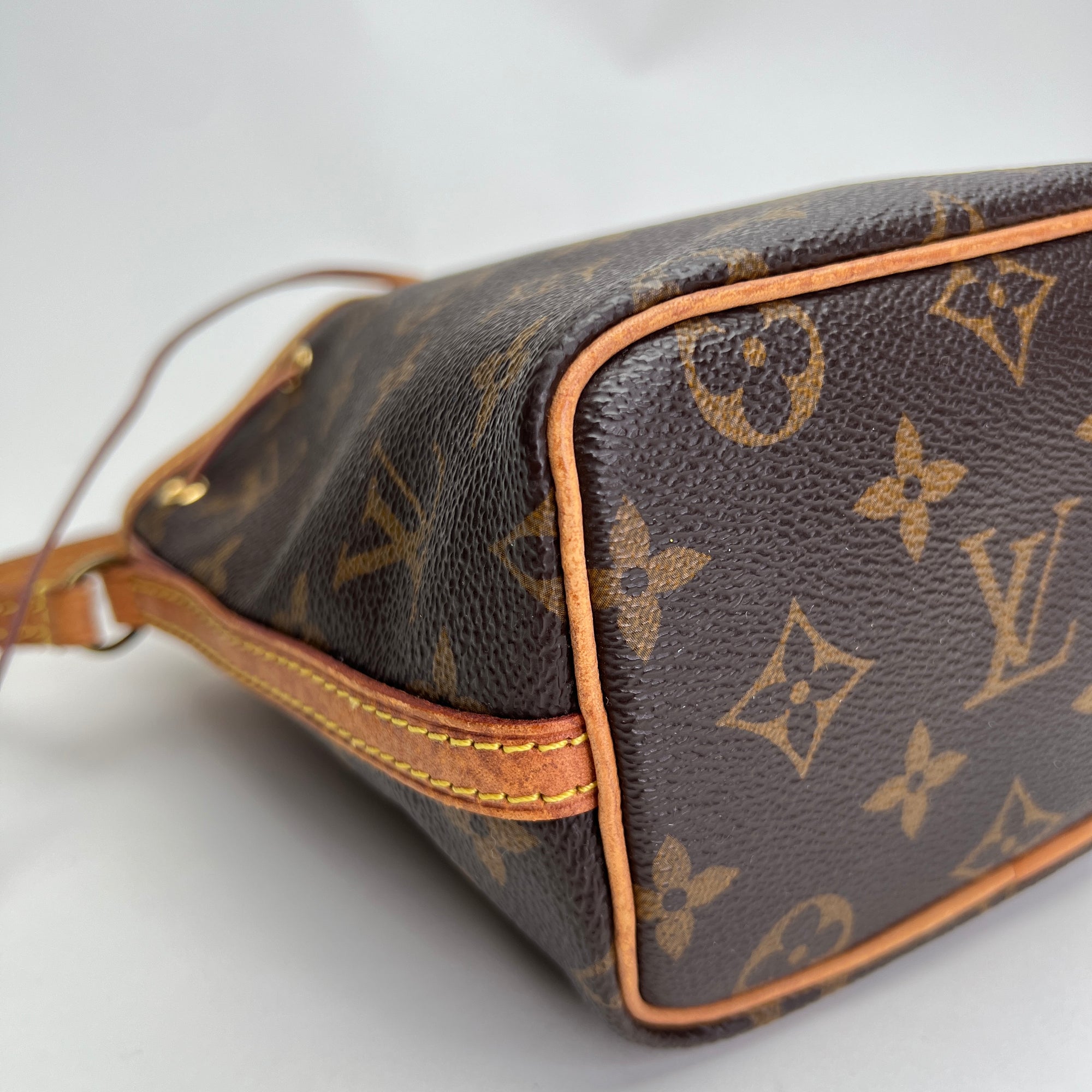 Monogram Nano Noe Nano Brown Crossbody Bag in Coated Canvas, Gold hardware