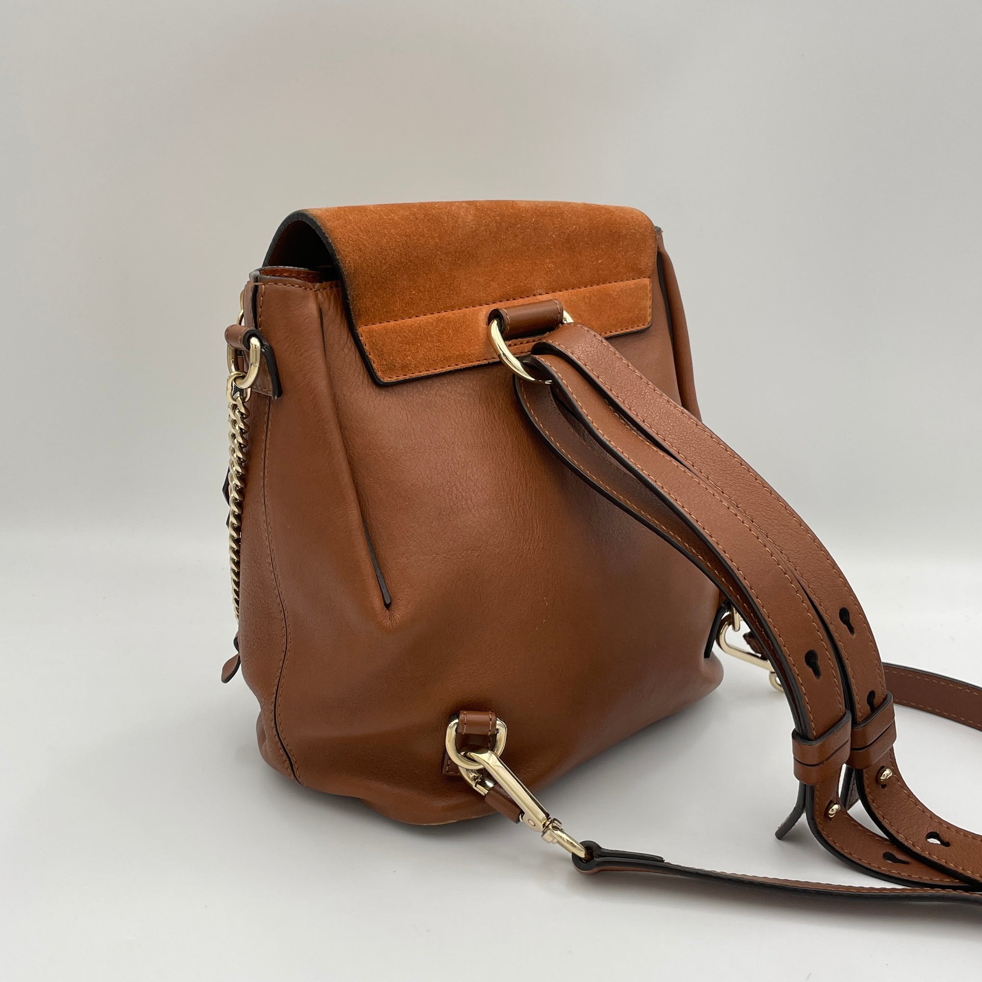 Faye Small Brown Backpack in Calfskin, Light Gold hardware