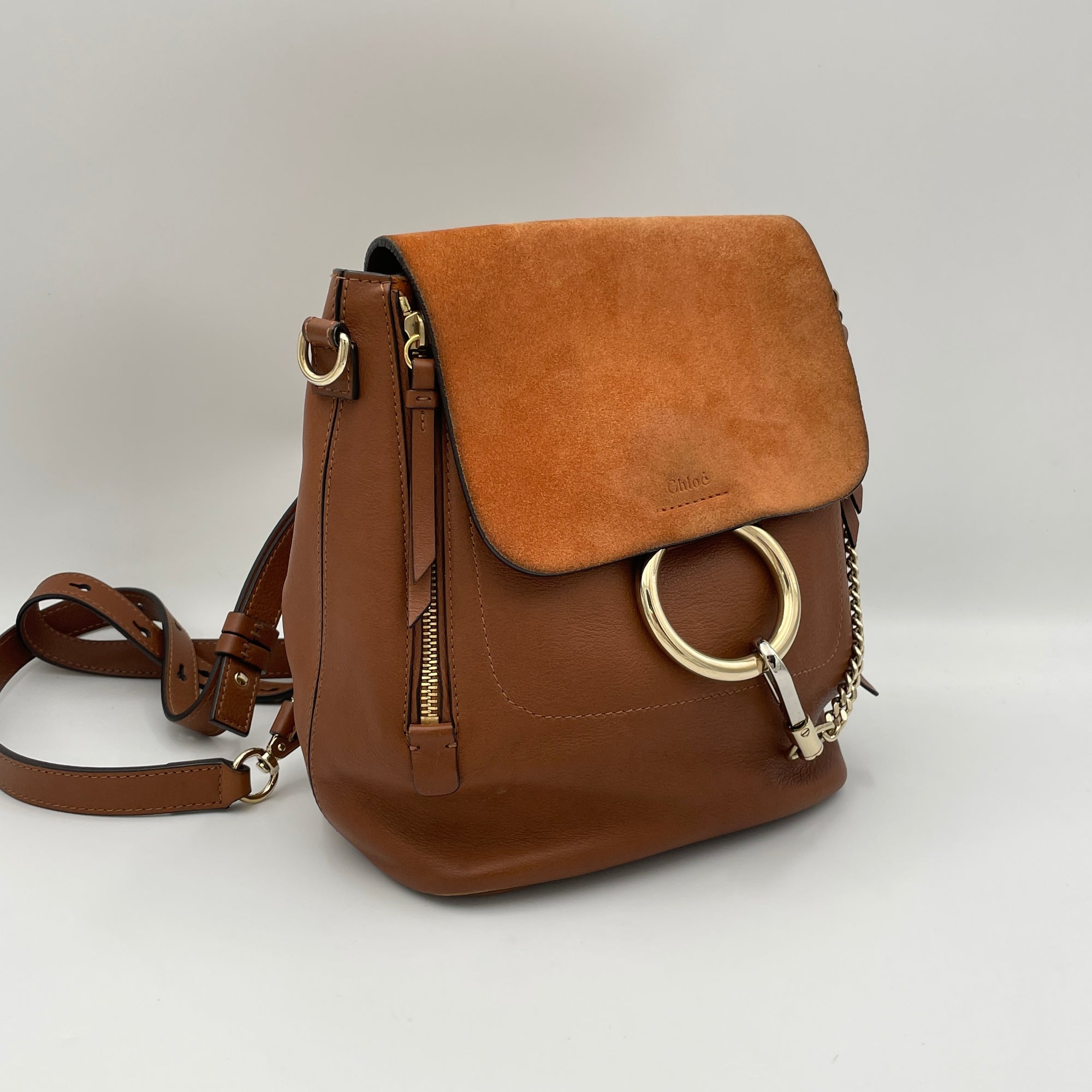 Faye Small Brown Backpack in Calfskin, Light Gold hardware