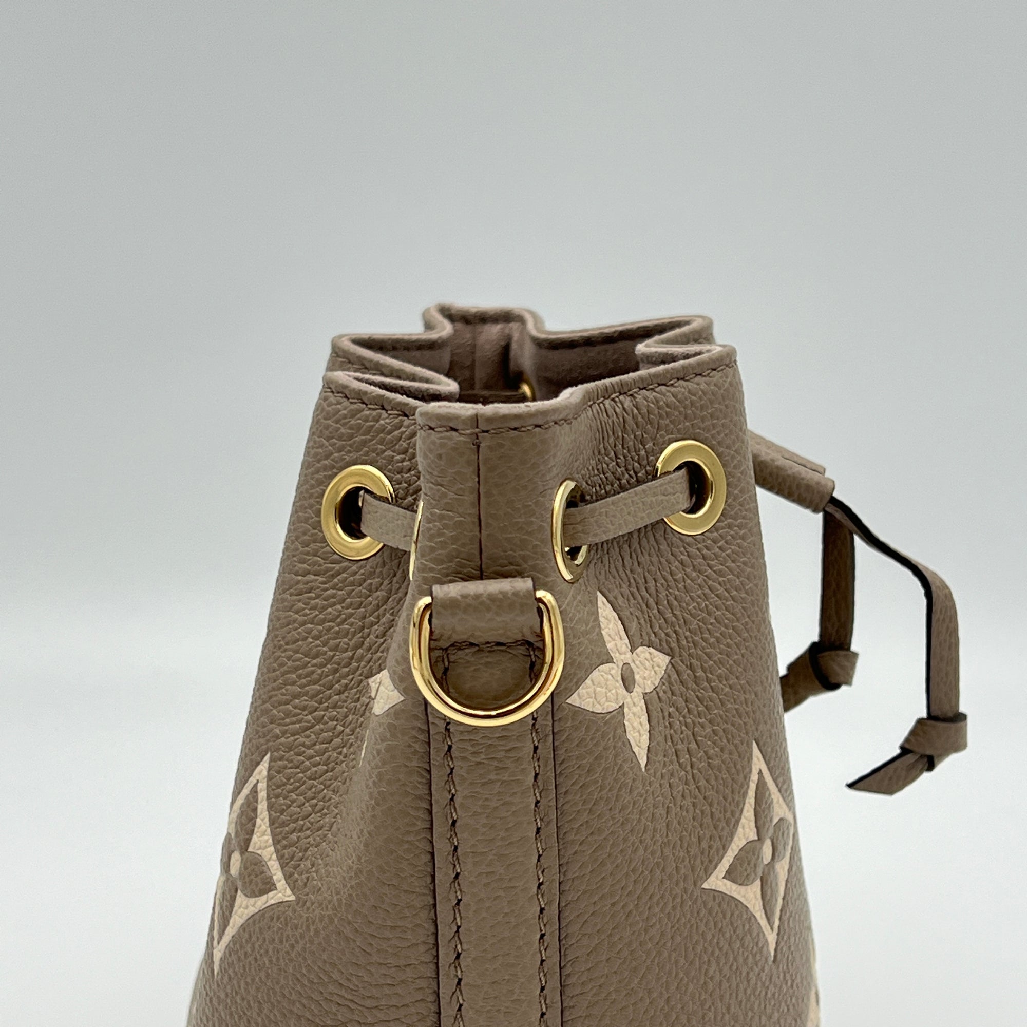 Noe Nano Bucket bag in Monogram Empreinte leather, Gold Hardware